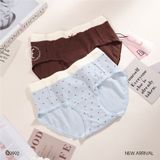  Quần cotton tim Q9992 