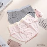  Quần cotton tim Q9992 