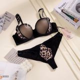  Bộ AG phối beo có gọng S0003 