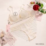  Bộ lót ren mỏng có gọng S2315 