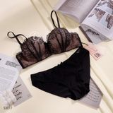  Bộ lót ren có gọng S3017 