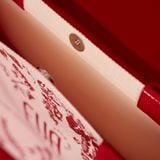  Red canvas Bag EVA 