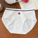  Quần lót thun cotton Q0063 