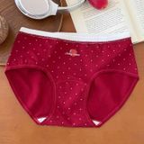  Quần lót thun cotton Q0063 
