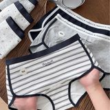  Quần đùi thun cotton Q6161 