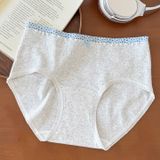  Quần lót thun cotton Q9810 