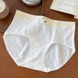  Quần lót thun cotton Q9990 
