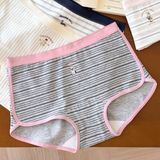  Quần thun cotton Q9527 
