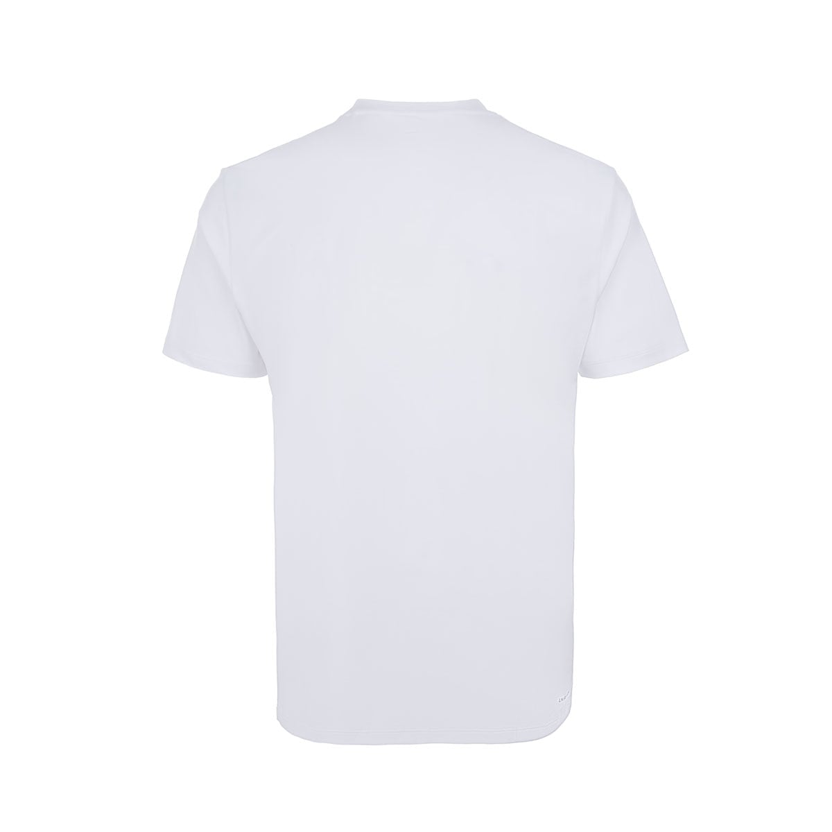 Áo T-shirt Nam AHSW109-2V