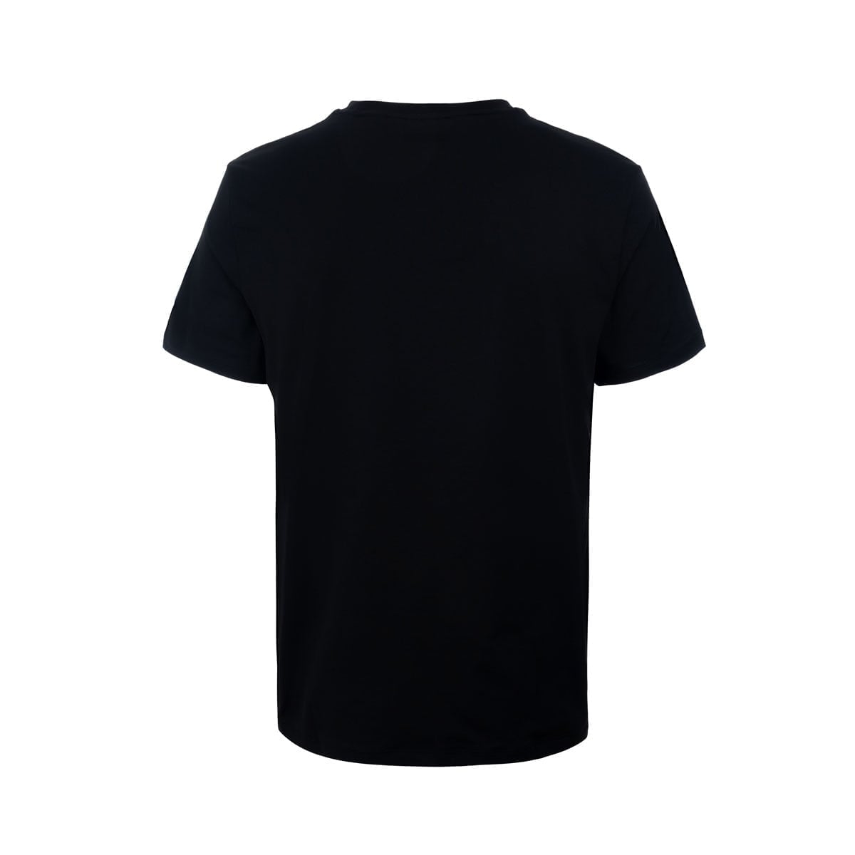 Áo T-shirt Nam AHSW109-1V