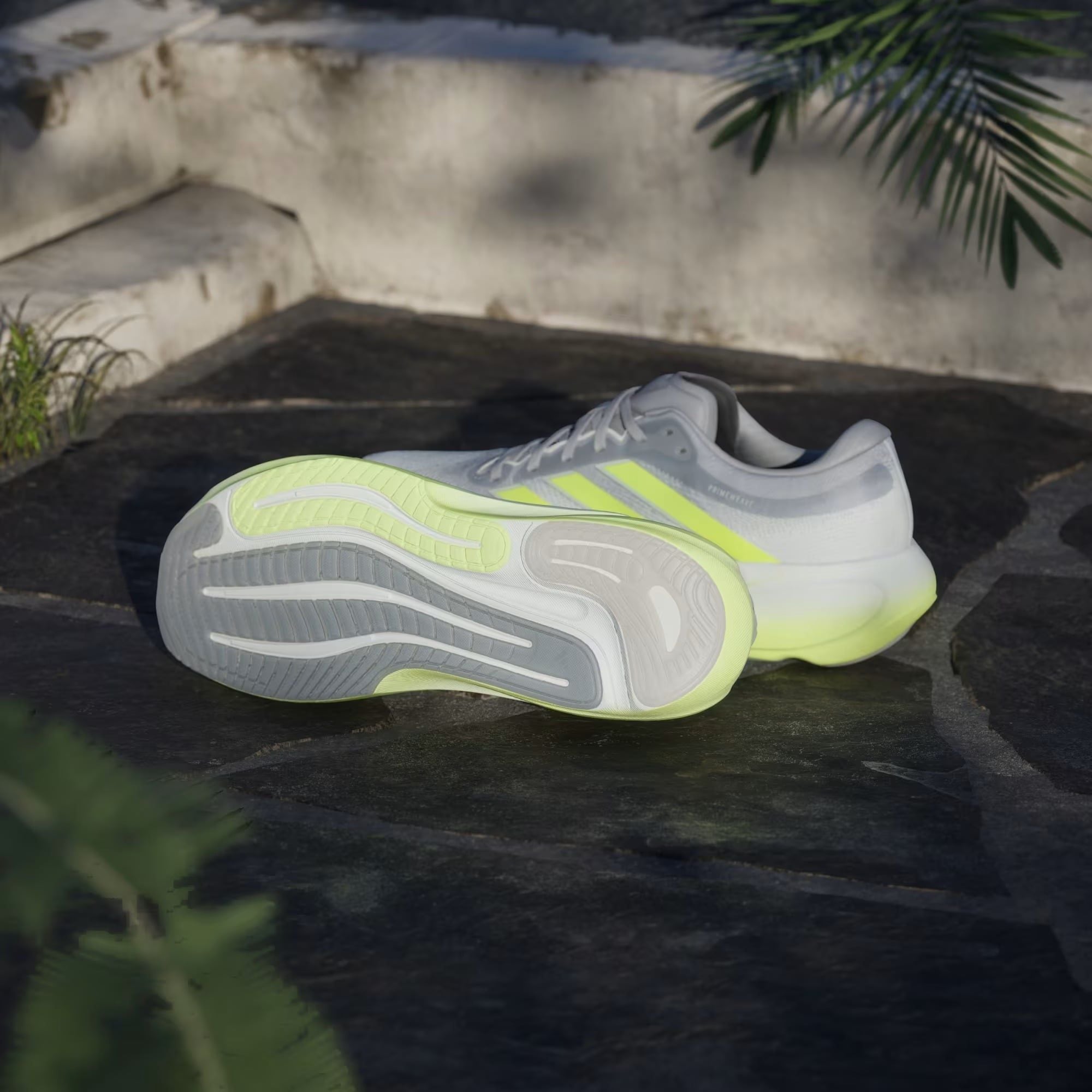 Giày chạy adidas Nam KK1206