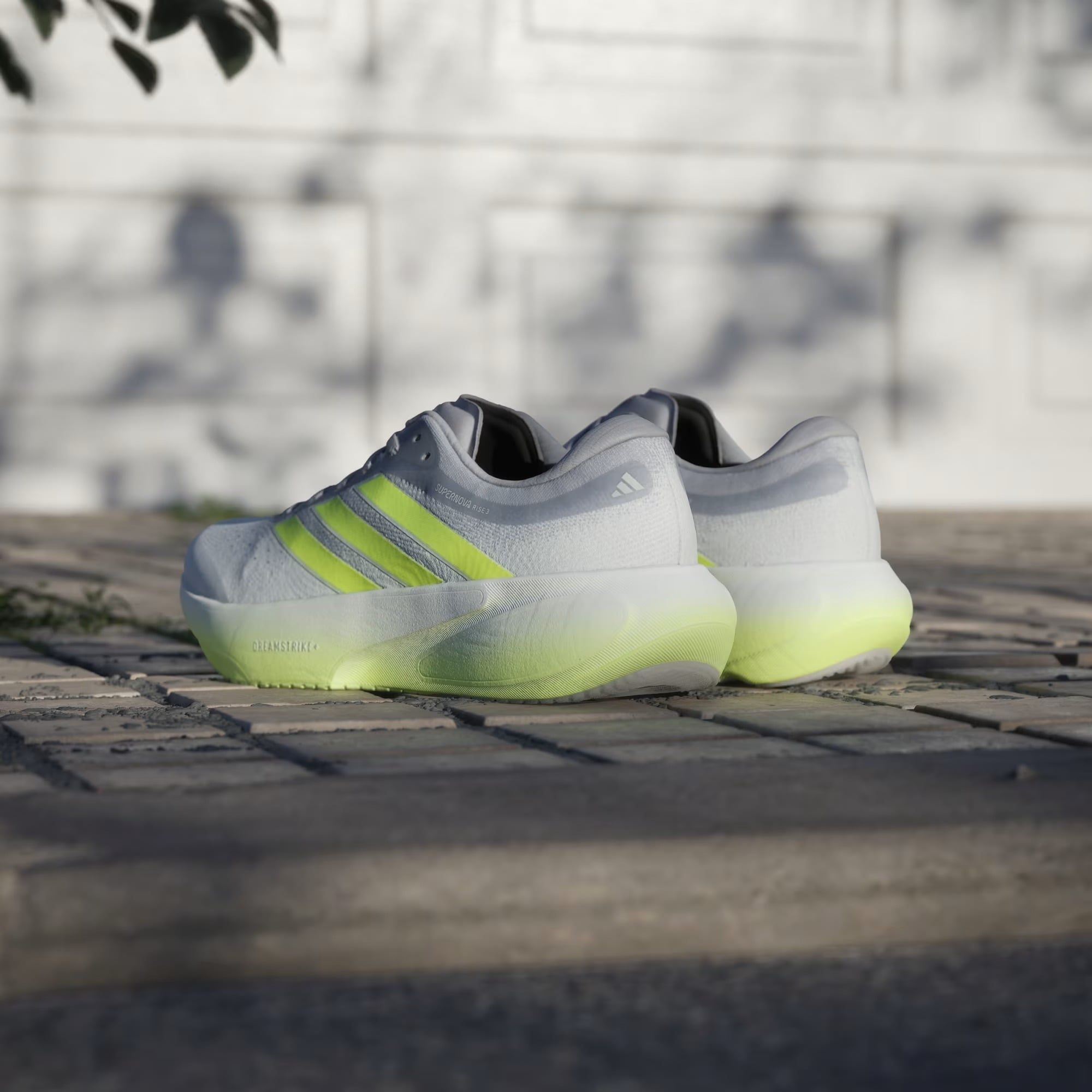 Giày chạy adidas Nam KK1206