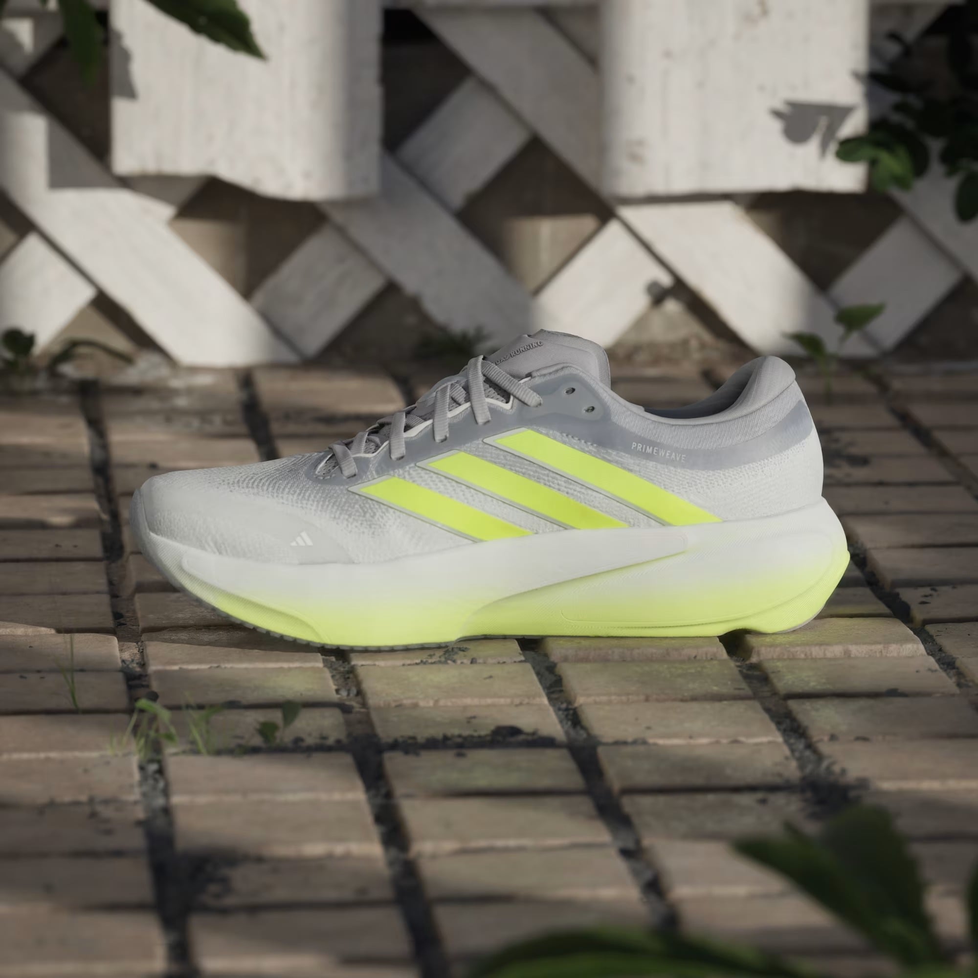  Giày chạy adidas Nam KK1206 