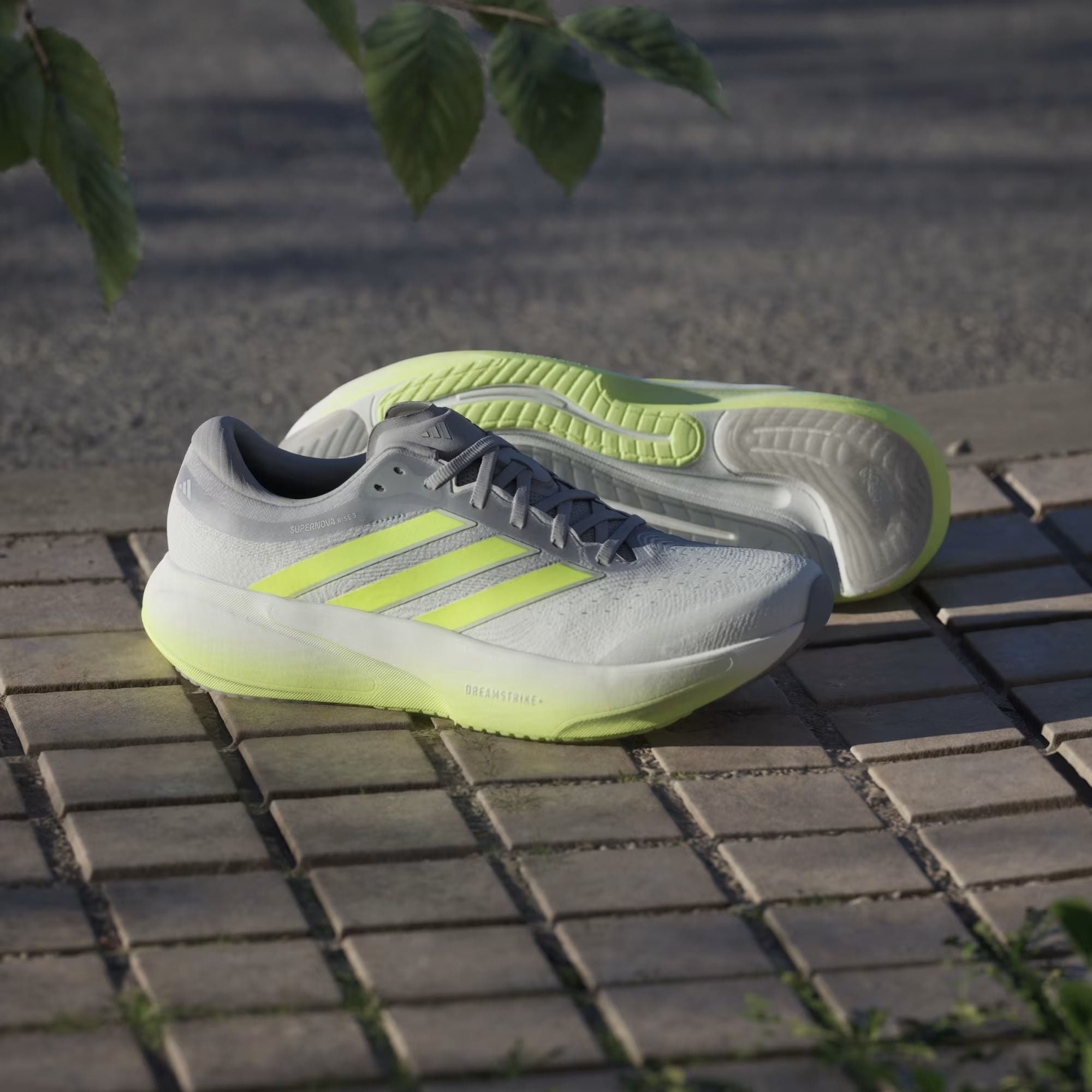 Giày chạy adidas Nam KK1206