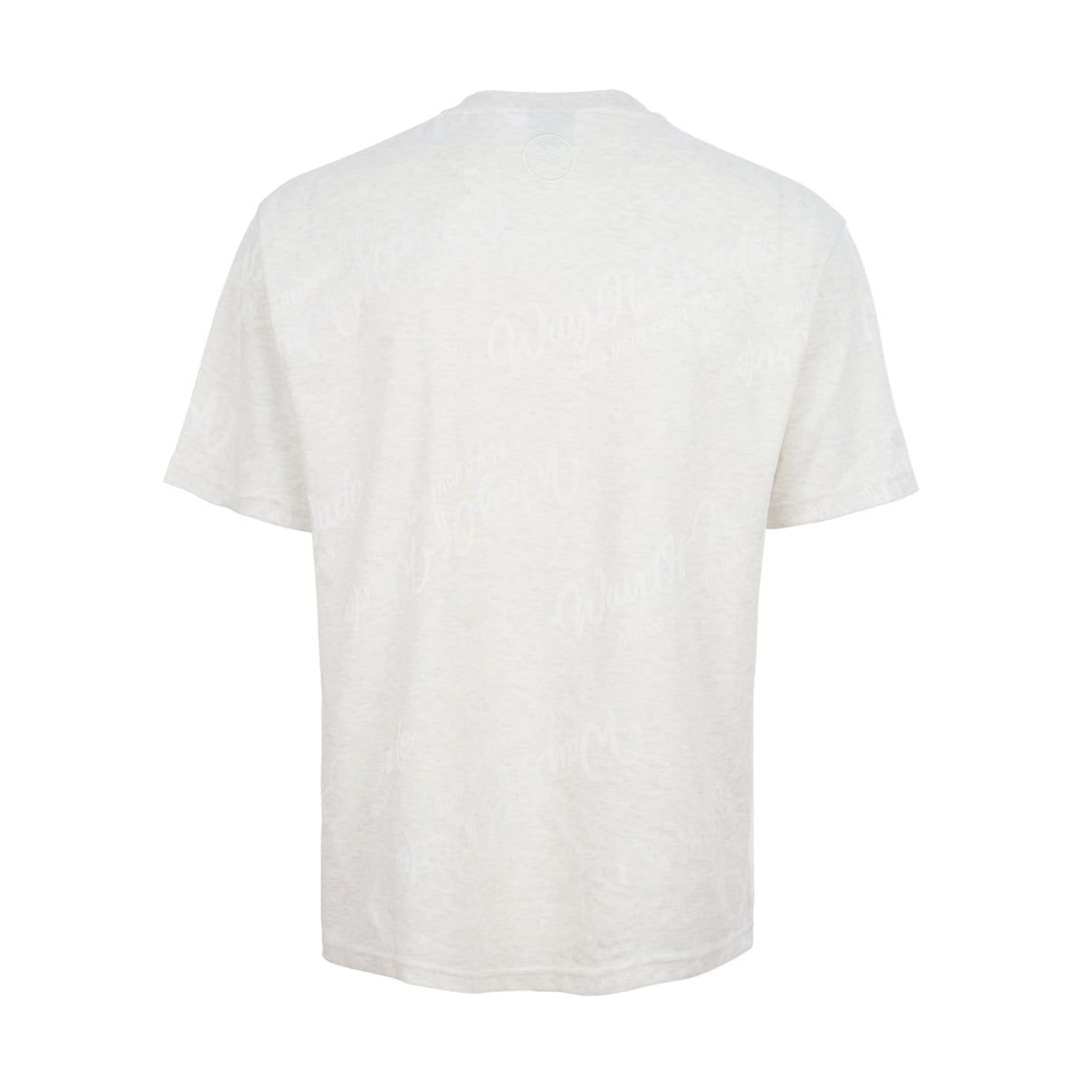 Áo T-shirt Nam AHSV411-4V