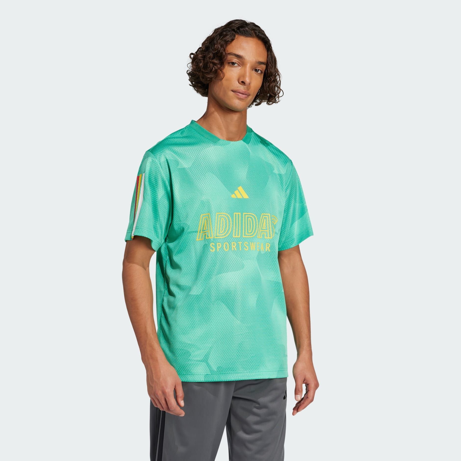 Áo T-shirt adidas House of Tiro Nations Nam - JC8003