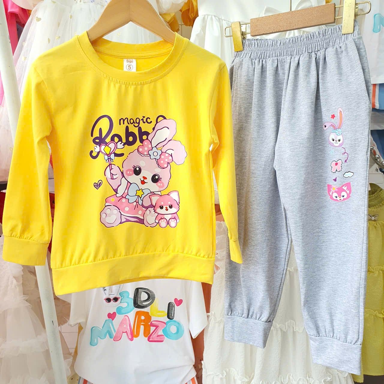  DB66 _ Bộ thun dài tay bé gái mặc ngủ chất cotton mịn mát họa tiết hoạt hình dễ thương _ Beekids 