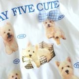  S104 _ Set váy bé gái phối ren mềm mại họa tiết dễ thương _ Beekids 