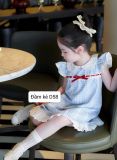  D58 _ Đầm kẻ chữ A phối ren thêu xinh xắn gam màu xanh nhẹ nhàng đáng yêu _ Beekids 
