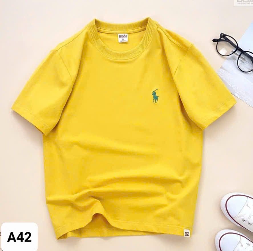  A42 _ Áo thun trơn cho bé trai và bé gái thêu hình Polo chất cotton 4 chiều mềm mịn mát _ Beekids 