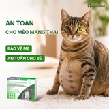 [Combo 2 hộp] NexGard COMBO - Ống nhỏ gáy phòng & trị nội, ngoại kí sinh dành cho mèo size L (2.5 - 7,5kg)