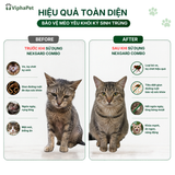 [Combo 2 hộp] NexGard COMBO - Ống nhỏ gáy phòng & trị nội, ngoại kí sinh dành cho mèo size L (2.5 - 7,5kg)