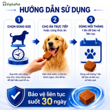 [Combo 2 hộp] NEXGARD SPECTRA® size XL cho chó từ 30-60 kg