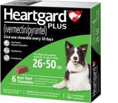 Heartgard® Plus Green viên nhai tẩy giun cho chó từ 11.5-22.5kg (Hộp 6 viên)