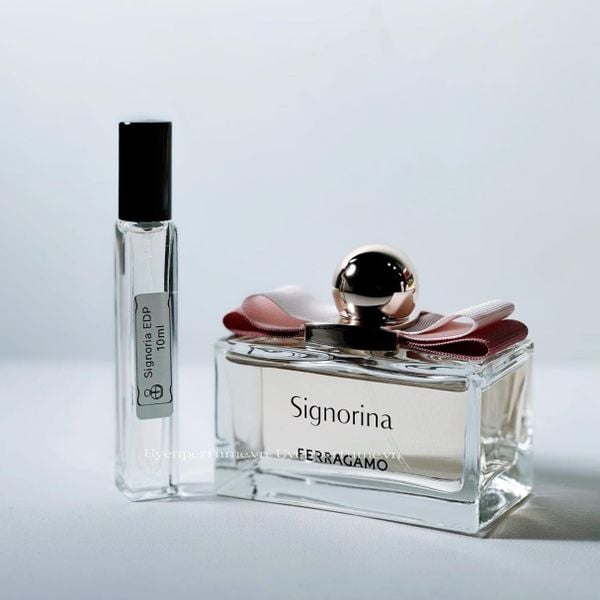 Chiết 10ml Signoria 