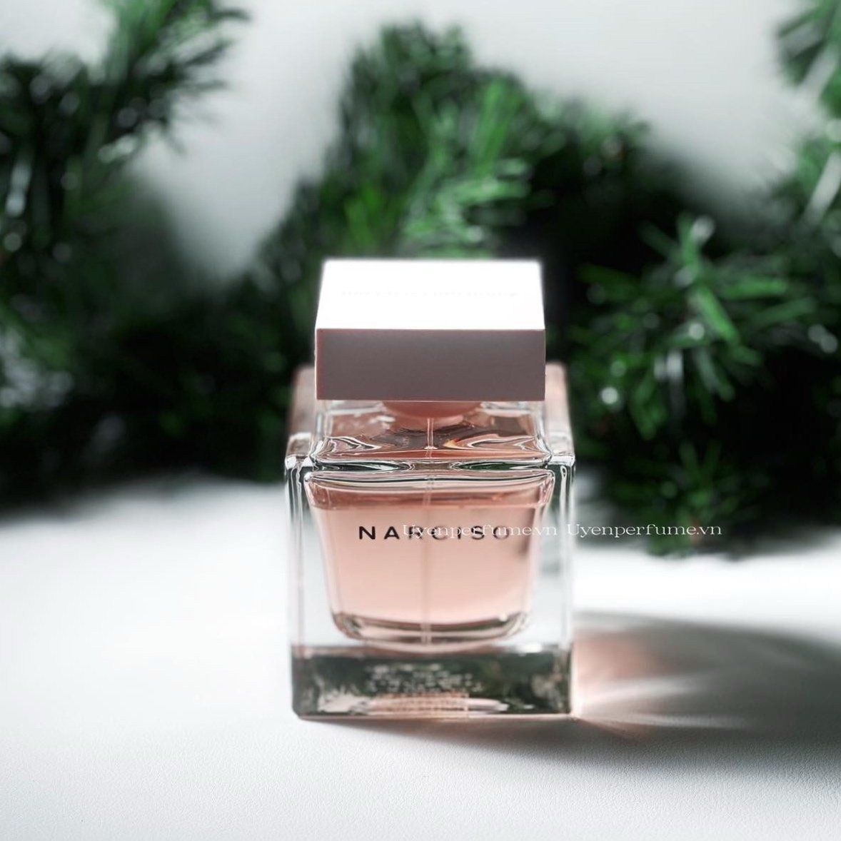  Narciso Cristal 