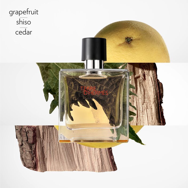  Hermes Terre EDP 