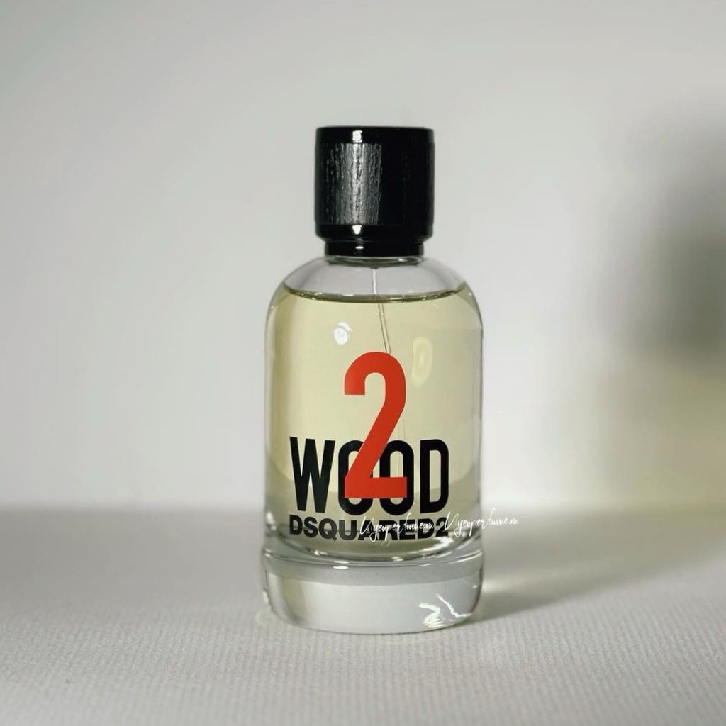  DSQUARED² 2 Wood 