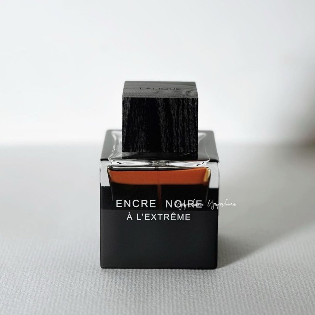  Encre Noir Exrreme 