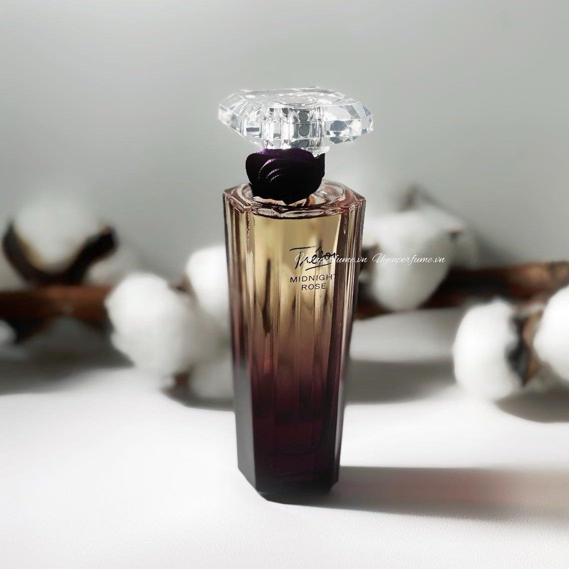  Tresor Midnight Rose 
