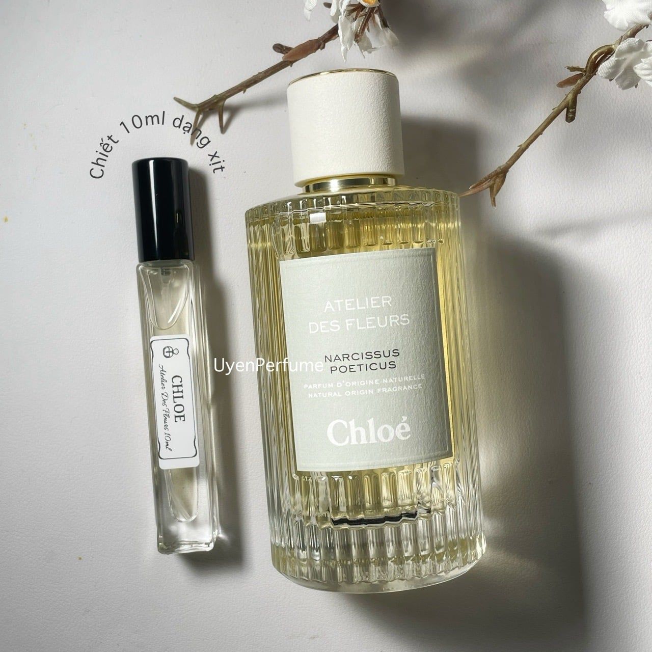  Chiết 10ml Chloe Atelier Des Fleurs Narcissus Poeticus 