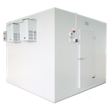  Kho lạnh bảo quản máu Haier Biomedical 