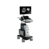  Ultrasound System - LOGIQ P10 