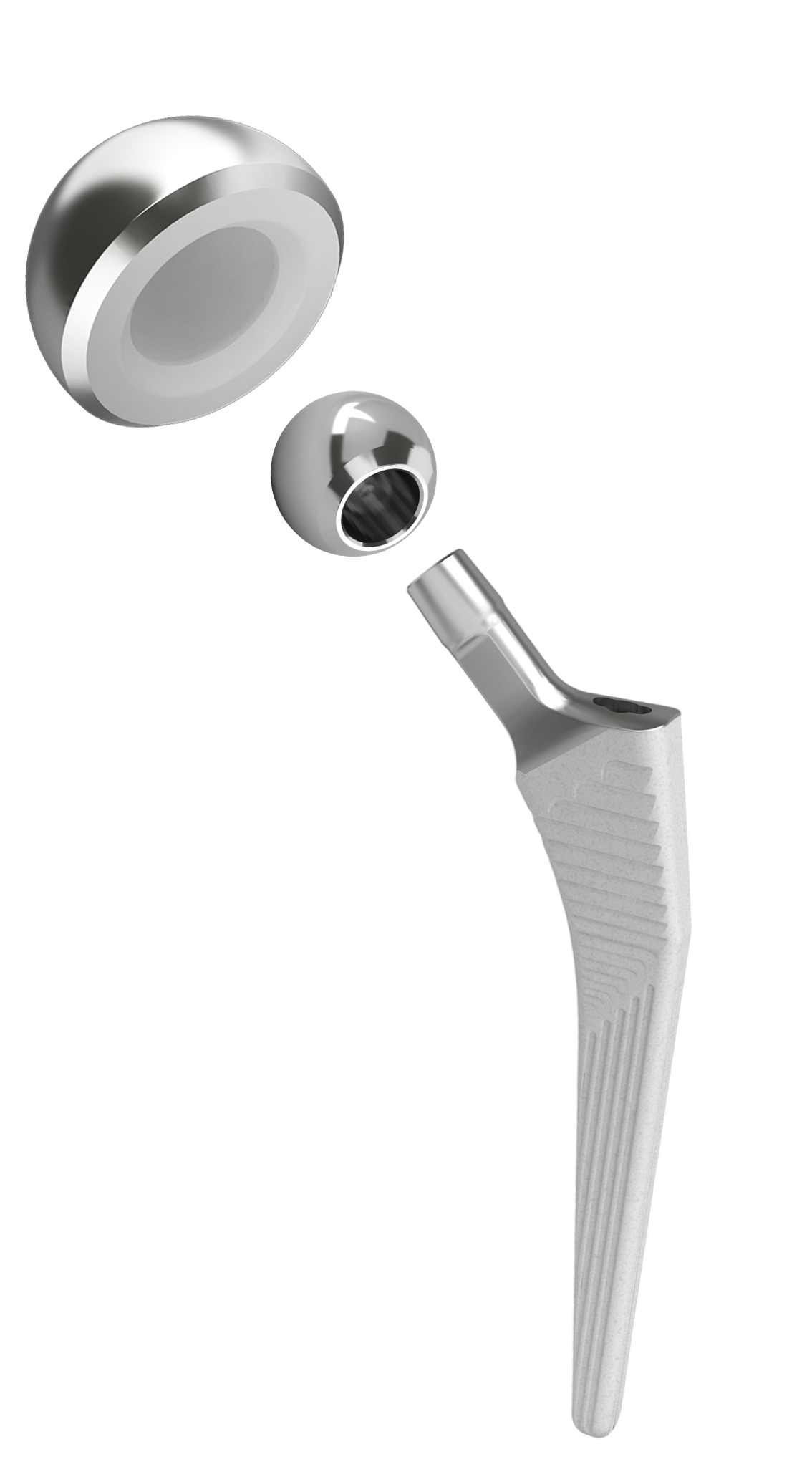  Latitud™ Hip Replacement System 