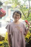  Đầm cánh tiên cacao thêu Mộc Lan 