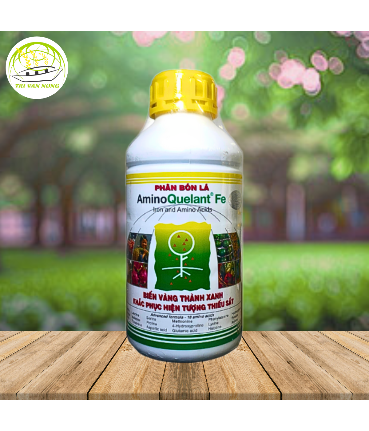 AminoQuelant-Fe Phân Bón Lá 1 lít.