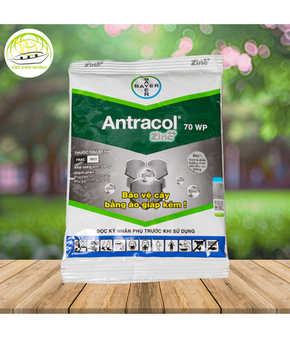  Antracol 70WP - Thuốc Trị Nấm Bệnh Cây Trồng 