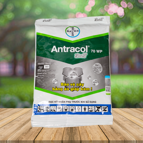  Antracol 70WP - Thuốc Trị Nấm Bệnh Cây Trồng 