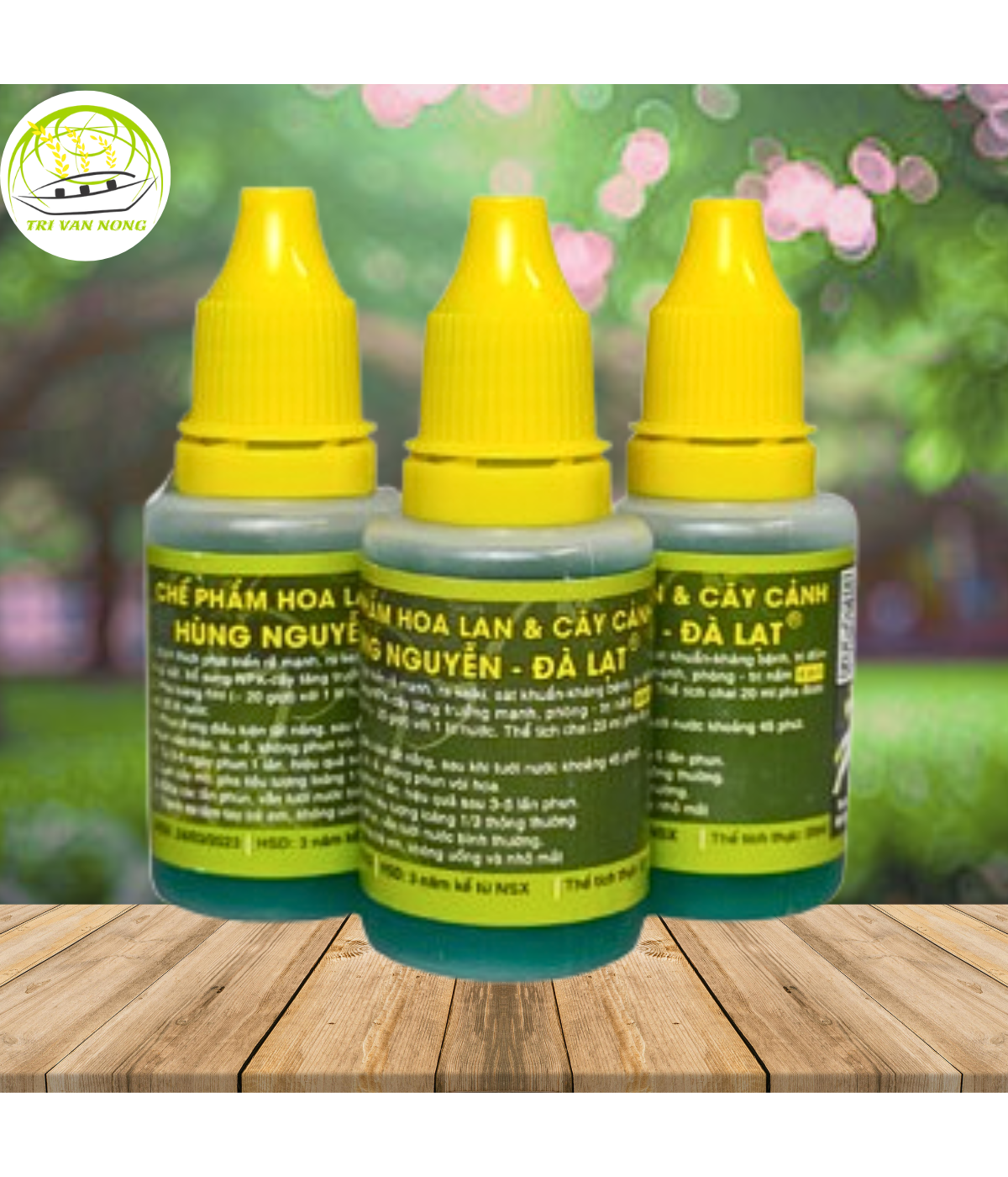 Hùng Nguyễn Siêu Kích Rễ Keiki - Đánh Thức Mầm Ngủ