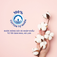  Bông tẩy trang Tippys 80 miếng 