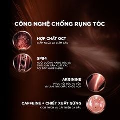  Dầu Gội Ngăn Ngừa & Giảm Gãy Rụng Tóc L’Oreal Paris Resist Anti Hair Fall Shampoo 440ml. 