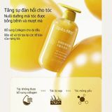  Dầu Gội Kiềm Dầu Giảm Rụng Tóc Hương Gừng Collagen Spes Ginger Collagen Shampoo 500ml. 