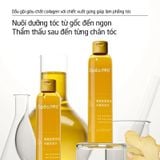  Dầu Gội Kiềm Dầu Giảm Rụng Tóc Hương Gừng Collagen Spes Ginger Collagen Shampoo 200ml. 