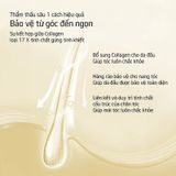  Dầu Gội Kiềm Dầu Giảm Rụng Tóc Hương Gừng Collagen Spes Ginger Collagen Shampoo 500ml. 