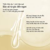  Dầu Gội Kiềm Dầu Giảm Rụng Tóc Hương Gừng Collagen Spes Ginger Collagen Shampoo 200ml. 