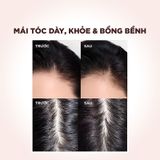  Dầu Xả Ngăn Ngừa & Giảm Gãy Rụng Tóc L’Oreal Paris Resist Anti Hair Fall Conditioner 440ml. 